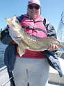 Renee walleye